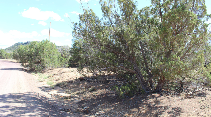 10 & 8 CR 3044 Niksich (16)