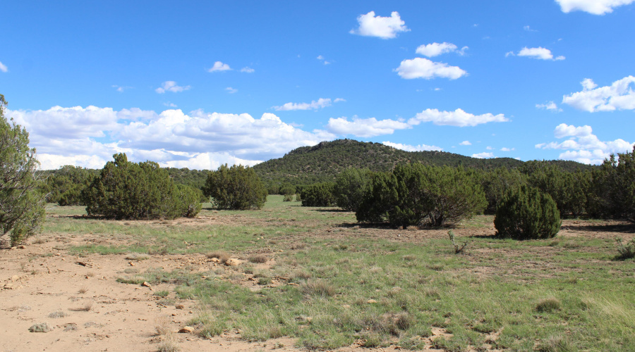 10 & 8 CR 3044 Niksich (10)