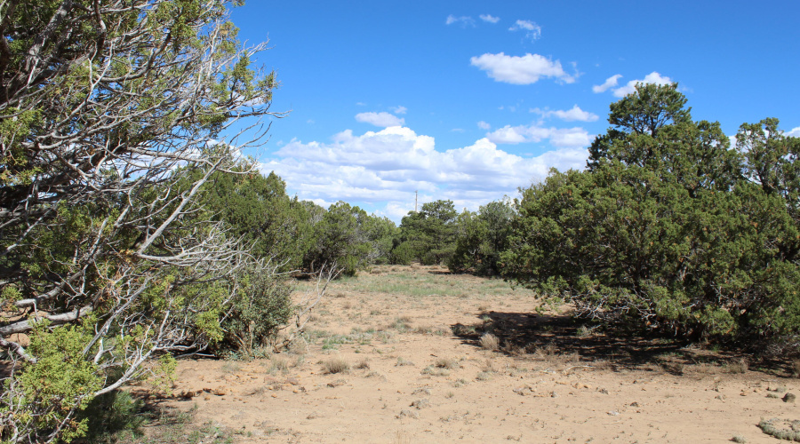 10 & 8 CR 3044 Niksich (6)