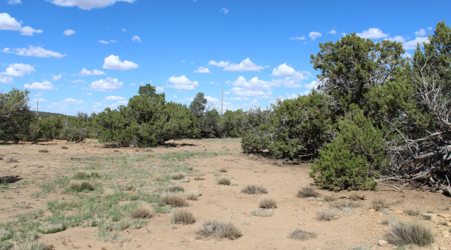 10 & 8 CR 3044 Niksich (8)