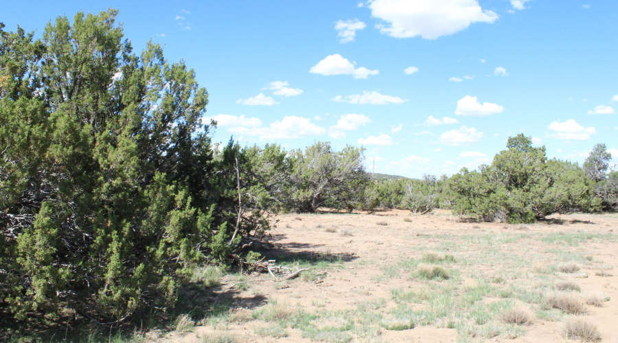 10 & 8 CR 3044 Niksich (9)