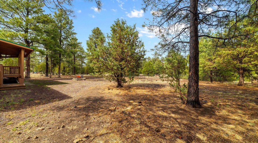 20CoRd2018-Nutrioso-AZ-42