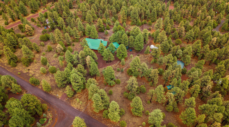 20CoRd2018-Nutrioso-AZ-49