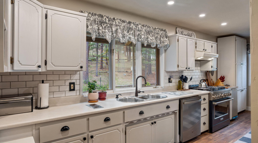 2CR2081-Alpine-AZ-13