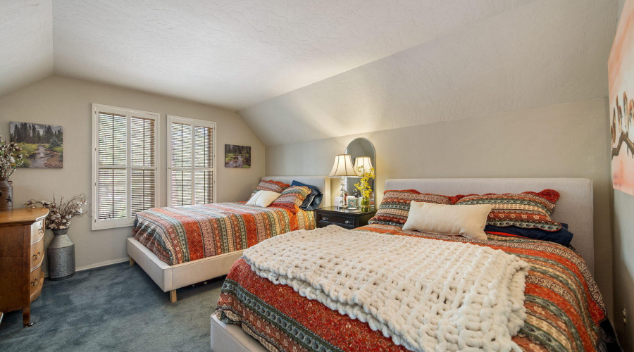 2CR2081-Alpine-AZ-22