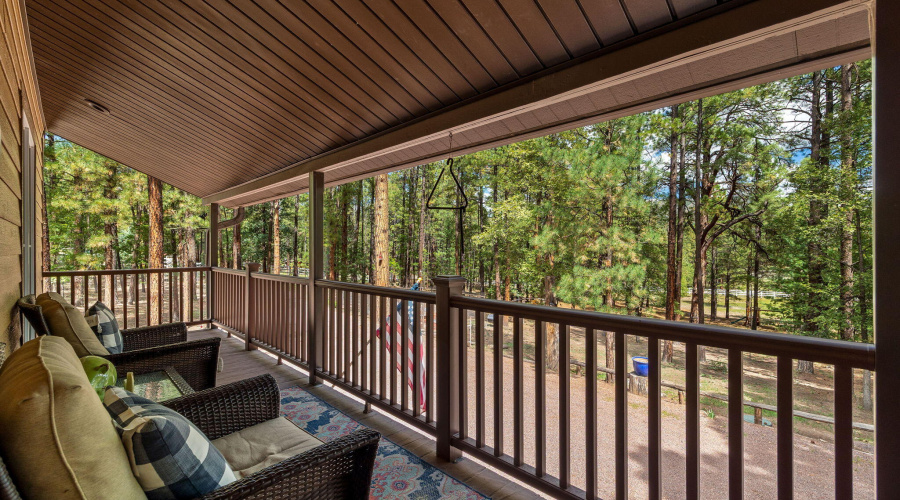 2CR2081-Alpine-AZ-33