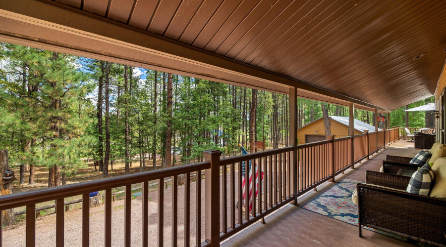 2CR2081-Alpine-AZ-34