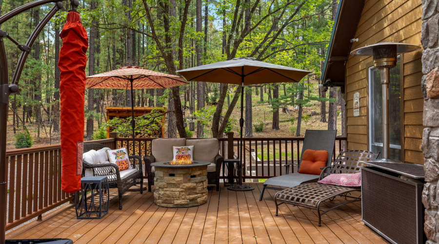 2CR2081-Alpine-AZ-36