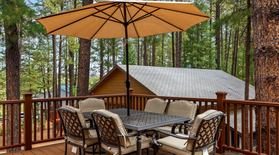 2CR2081-Alpine-AZ-37