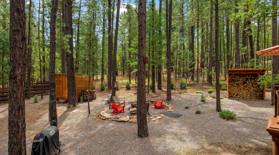 2CR2081-Alpine-AZ-38