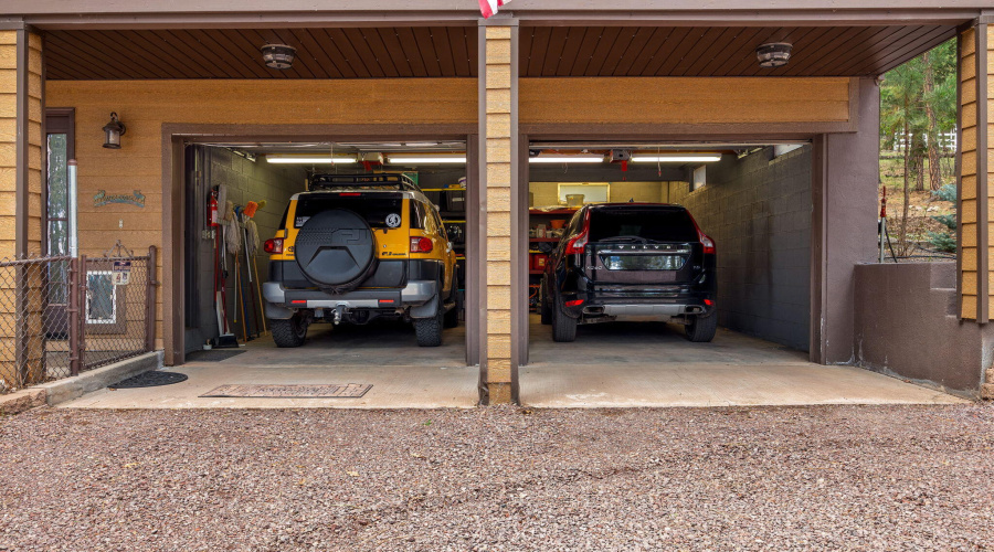 2CR2081-Alpine-AZ-41