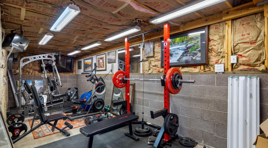 2CR2081-Alpine-AZ-45