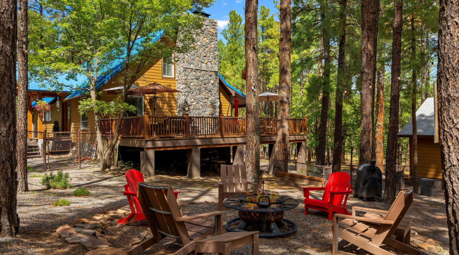 2CR2081-Alpine-AZ-47