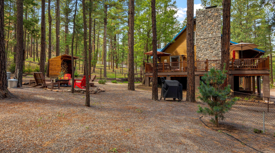 2CR2081-Alpine-AZ-48