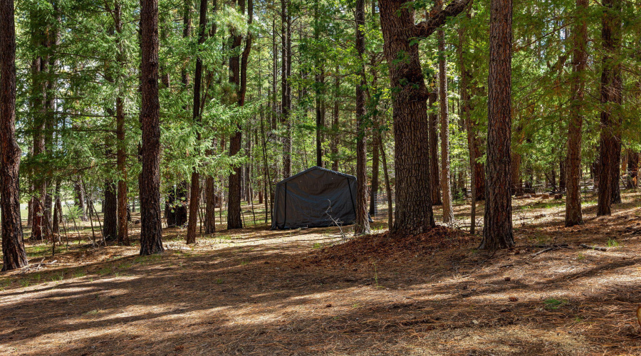 2CR2081-Alpine-AZ-50