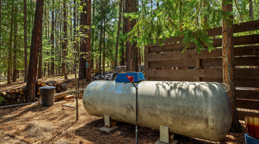 2CR2081-Alpine-AZ-51