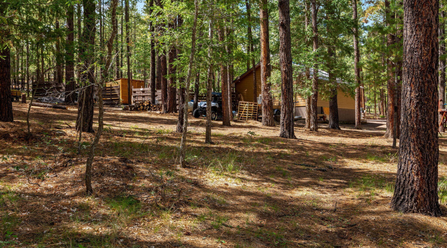 2CR2081-Alpine-AZ-53