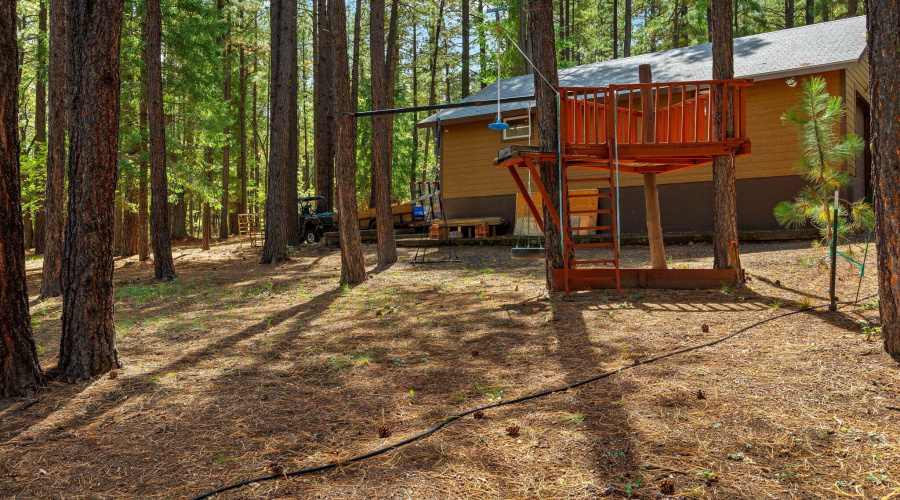 2CR2081-Alpine-AZ-54