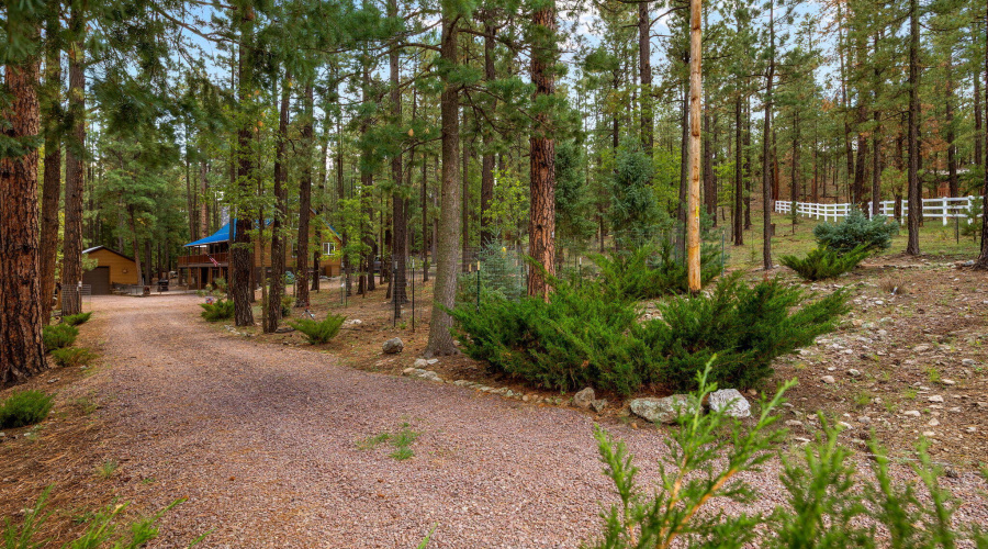 2CR2081-Alpine-AZ-55