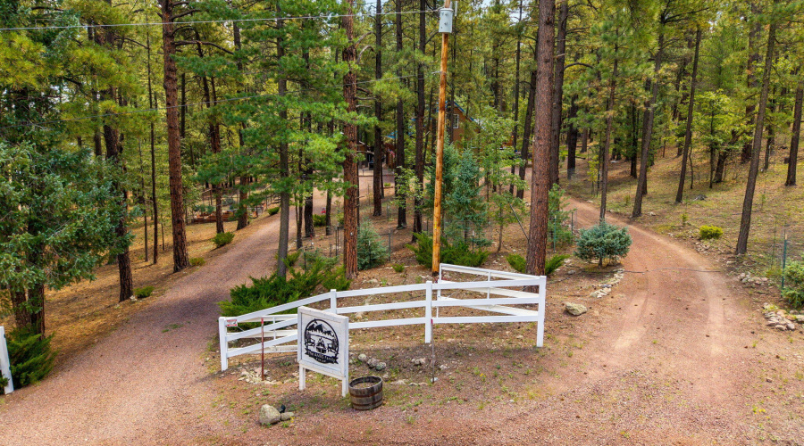 2CR2081-Alpine-AZ-56