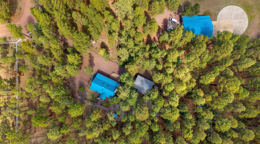 2CR2081-Alpine-AZ-57