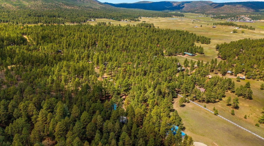 2CR2081-Alpine-AZ-58