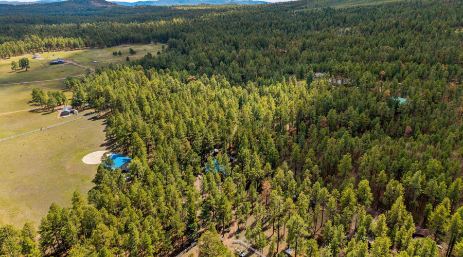 2CR2081-Alpine-AZ-59