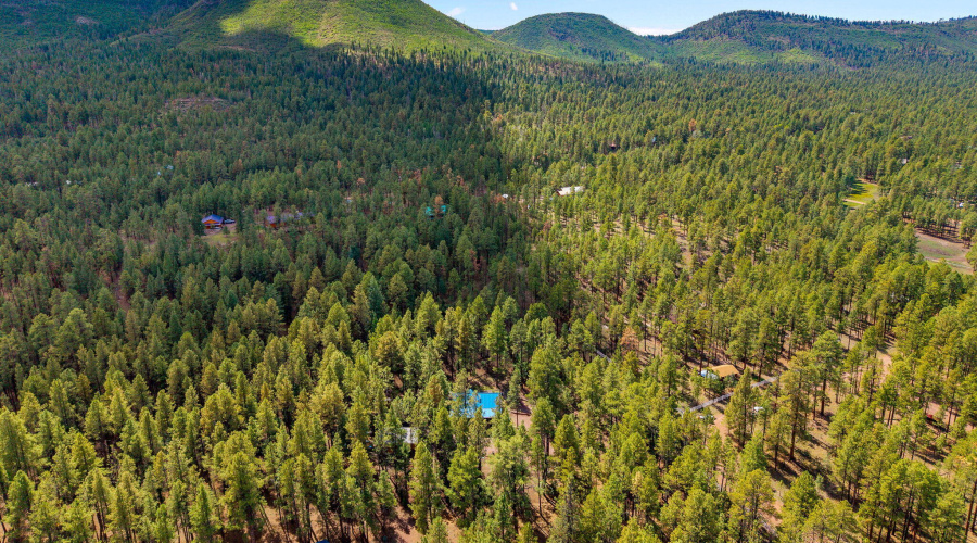 2CR2081-Alpine-AZ-60