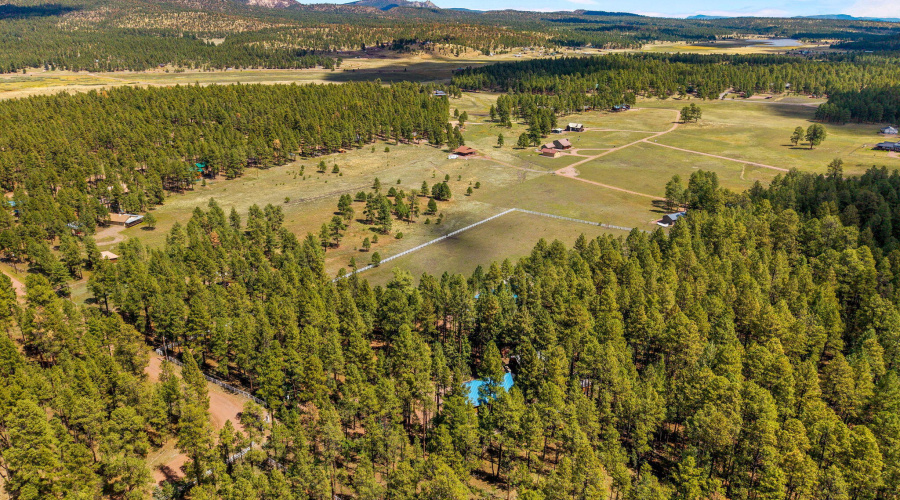 2CR2081-Alpine-AZ-61