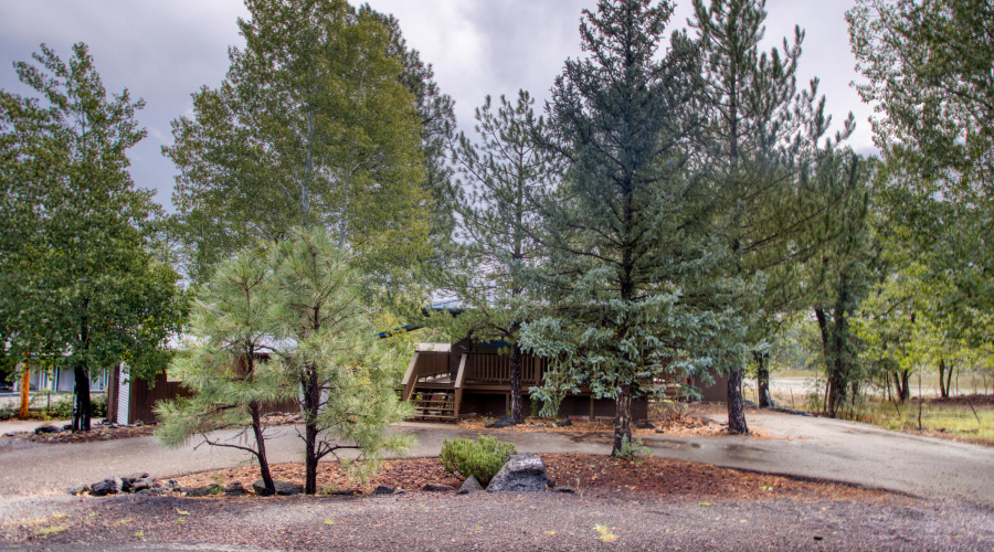 Circular Paved Driveway