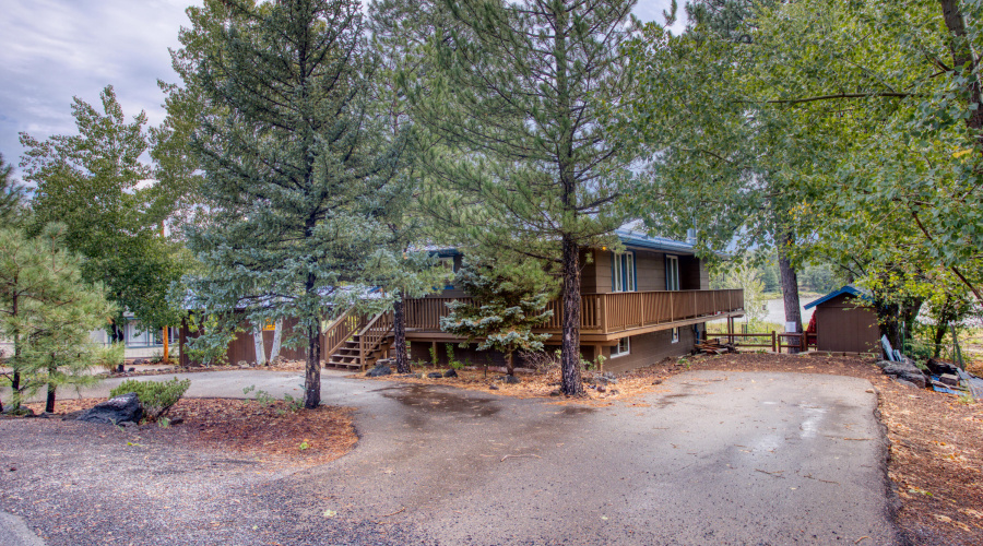 Nestled in the Trees