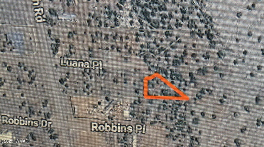 PXL_20250730_171215475~2