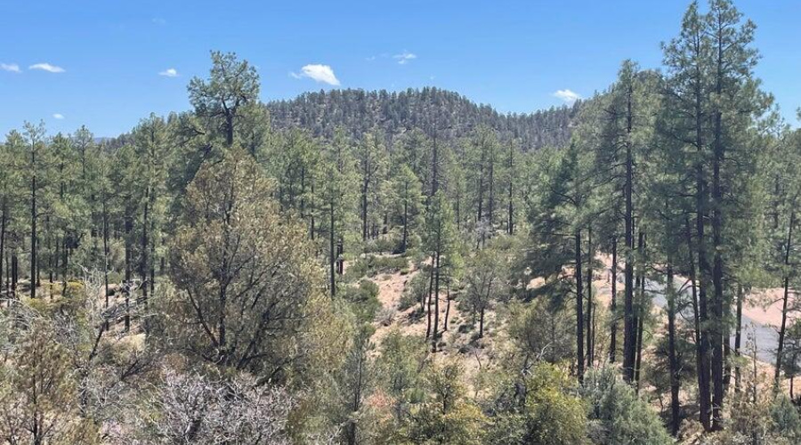 20220411194510057232000000-o