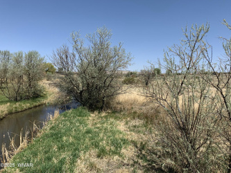 2 Old Gristmill Road, Eagar, Arizona 85925, ,Land,For Sale,Old Gristmill,258026