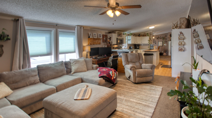 Paxmanphoto_PAX_9557