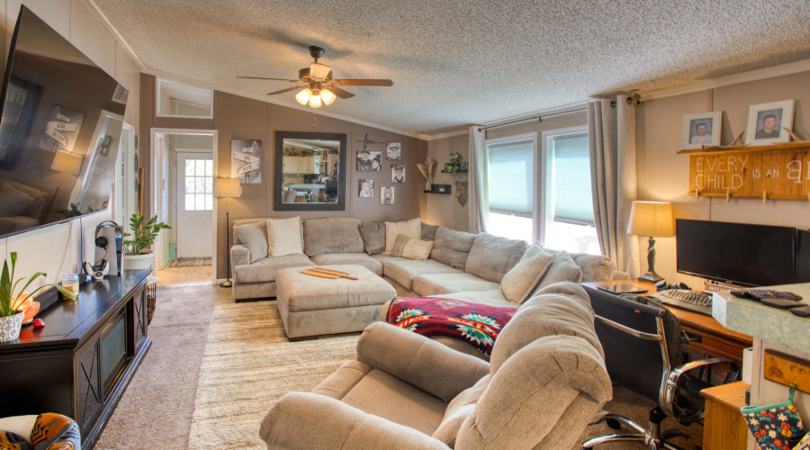 Paxmanphoto_PAX_9550