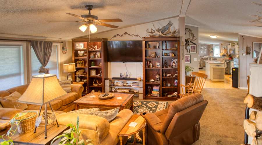 Paxmanphoto_PAX_9518