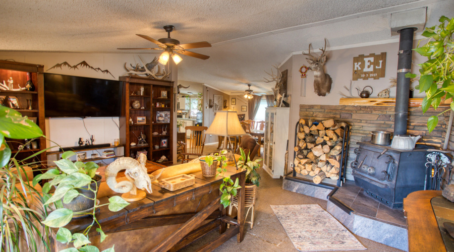 Paxmanphoto_PAX_9516