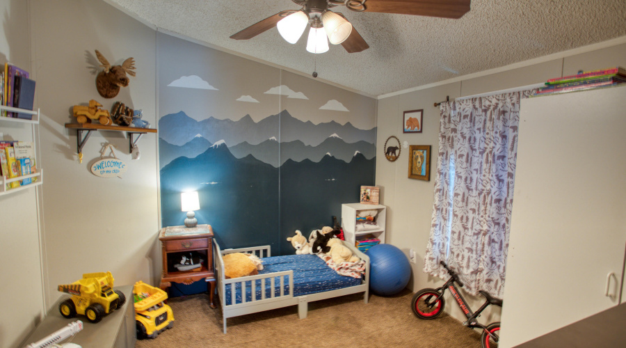 Paxmanphoto_PAX_9508