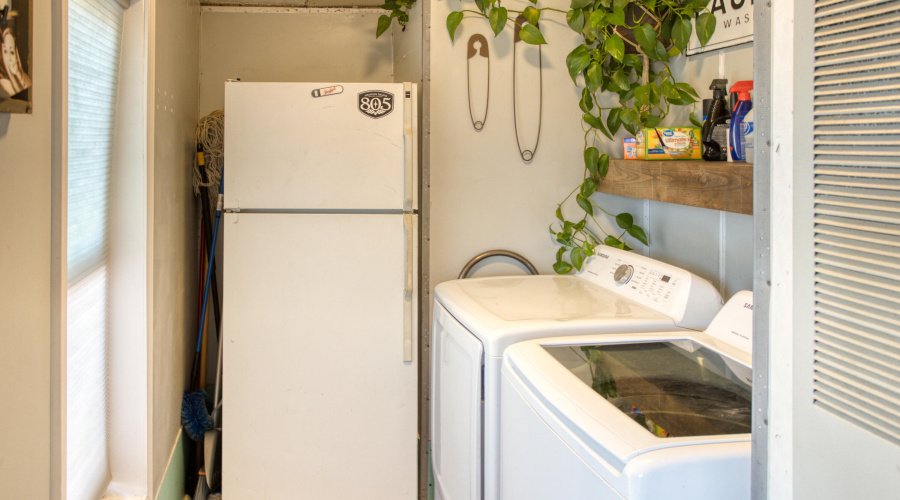 Paxmanphoto_PAX_9564