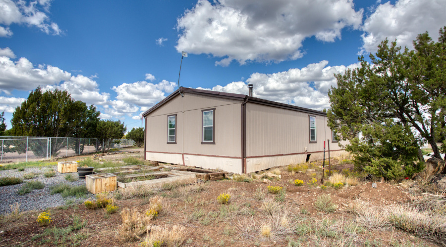 Paxmanphoto_PAX_9573