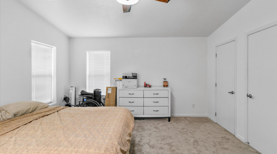 Primary/ Dual closets