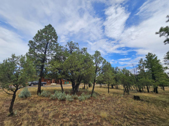 2399 Pine Crest Drive, Happy Jack, Arizona 86024, ,Land,For Sale,Pine Crest,92913