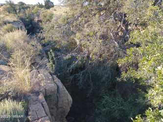 Lot 682 Chevelon Canyon Ranch, Heber, Arizona 85928, ,Land,For Sale,Chevelon Canyon Ranch,254141