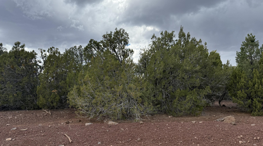 Front View of Lot 1 from road