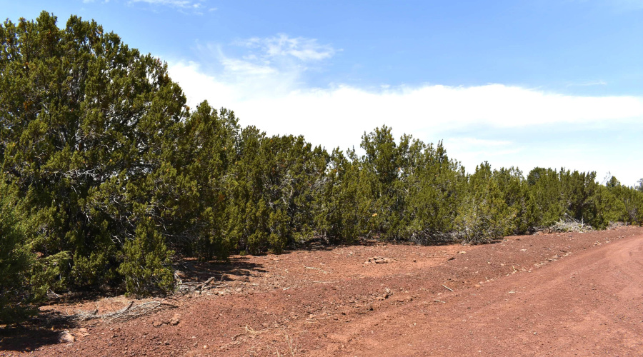 Road View to the right