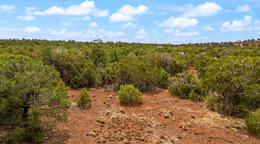 Parcel10625022G&K-Vernon-AZ-2