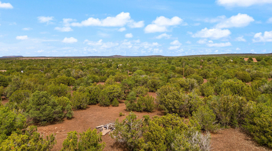 Parcel10625022G&K-Vernon-AZ-1