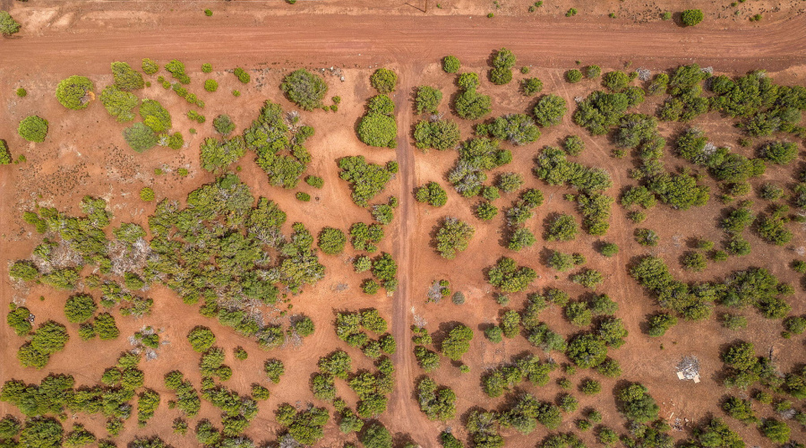 both lots and road view