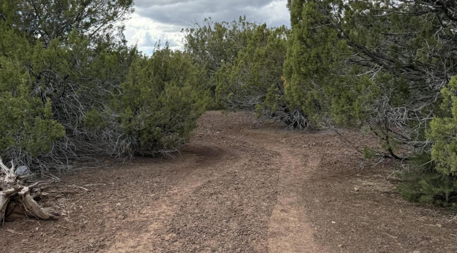 Clearence on the lot to back